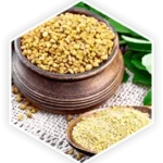 Fenugreek 